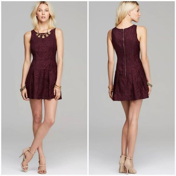 Free People Dresses & Skirts - Free People Chenille Zebra Print Drop Waist Pleated Mini Dress in Mulberry 6